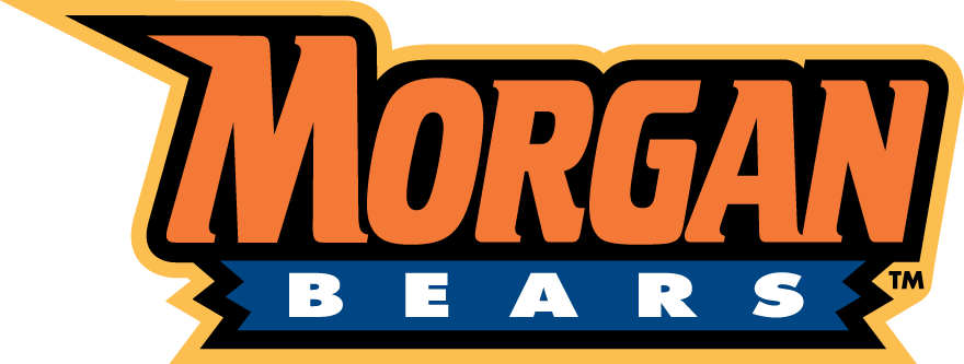 Morgan State Bears 2002-Pres Wordmark Logo v6 iron on transfers for T-shirts